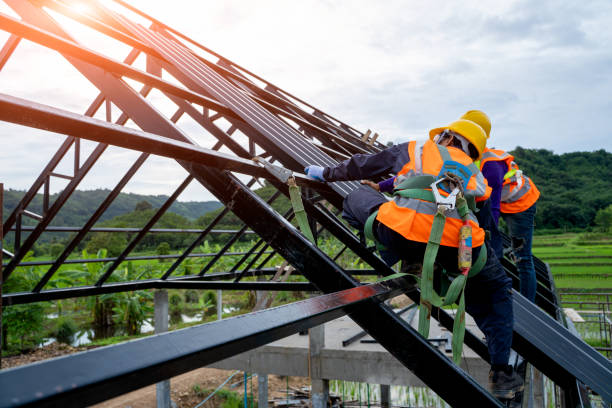 Best Roof Gutter Cleaning  in Barneveld, WI