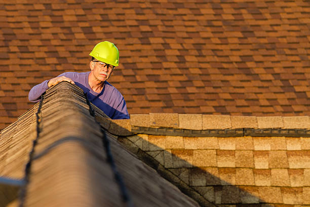 Roof Gutter Cleaning in Barneveld, WI